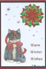 Franciens Christmas Cat and old Lipton Rosehip 3