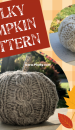 Bulky Pumpkin by Fiber Me This-Free