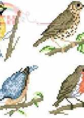 DMC Birds mini 2