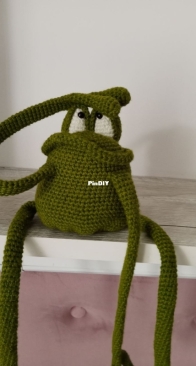 Frog girlfriend