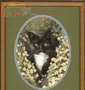 Heritage Stitchcraft JSBL346 Black & White Cat by John Stubbs XSD