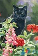 Kustom Krafts 98697 Max in the Zinnias
