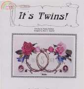 The Silver Lining SL 46 Its Twins