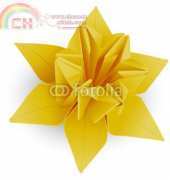 Origami Daffodil by elizelda-English