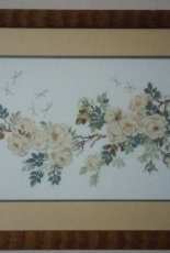 Riolis Branch with dragonfly