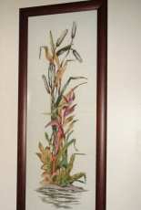 "Bull rush" "Tabua"s scene