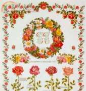 Thea Gouverneur 2043 - ABC Fleurs