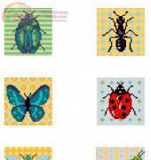 Insectos