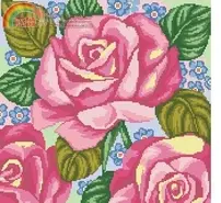 Blooming Roses