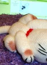 Sleeping kitty