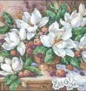 FIORI 204