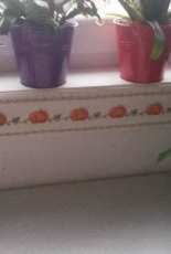 pumpkin border