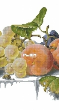 Peaches and Grapes by Ekaterina Volkova XSD