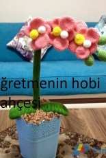 orkide