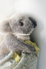 Koala by Claire Garland - Free