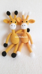 Giraffes