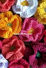 Vera Matrebo - Poppy Flower - German - Free