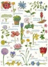 Lanarte 62499 Blooming Alphabet by Marjolein Bastin