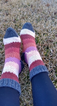 Worsted Sprinkle Socks by Amy Kate Sutherland-Free