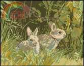Wiehler 3611-7 Rabbit PCS