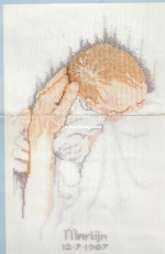 Lanarte 8702 - Birth Record Martijn by Maria Van Scharrenburg