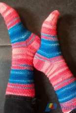 Roman Holiday Socks by Lorain Pettit -Free