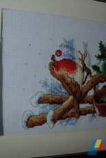 Le rouge gorge en hiver de VERVACO