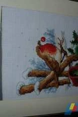 Le rouge gorge en hiver de VERVACO