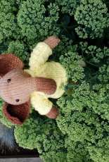 Elefant boy - pattern Julie Williams