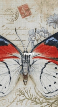 Chimera - Vintage Butterfly 17 by Jane Shasky