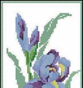 Riolis Sotvori Sama332 Irises