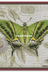Chimera - Butterfly Vintage 10 by Jane Shasky