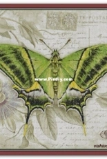 Chimera - Butterfly Vintage 10 by Jane Shasky