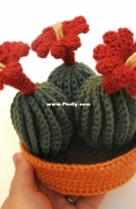 JanaGeek - Jana Whitley - Claret Cup Cactus with Pot and Soil