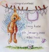 Anchor NL04 Newton Birth Record XSD