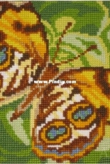 Collection DArt CDA-5080 Butterfly Cushion