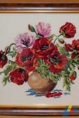 Poppies