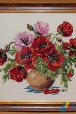 Poppies