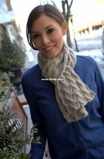 F662 Nickel and Dime Scarf by Sue Hilger - Free