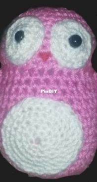 little owl