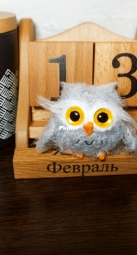 Little Owl
