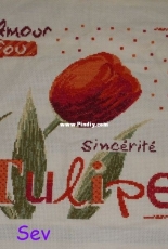 Tulipe By LLP