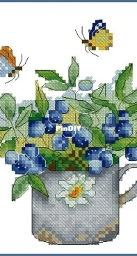 Blueberry by Elena Shestakova XSD