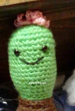 My cactus