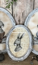 The Primitive Hare - Colonial Hare XSD