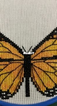 Shannon Christine Monarch Butterfly