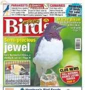 Cage & Aviary Birds - 11 February 2015