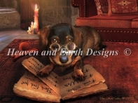 HAED HAEBAV MC1243 The Book Of Dog Talk Max Colors by Babette Vandenberg (Large Format)