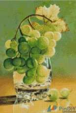Gerdamoon B008, Grape-Gooseberry (small size)