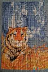 Forever Wild Tiger